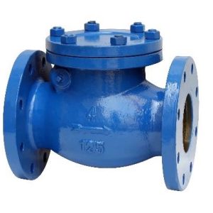 Cast Steel Check Valve
