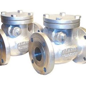 Forged Steel Check Valve